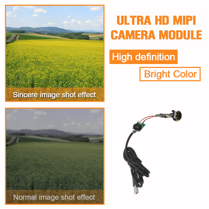 Módulo de Cámara Endoscópica d - Endoscope Inspection Camera reseña y precio